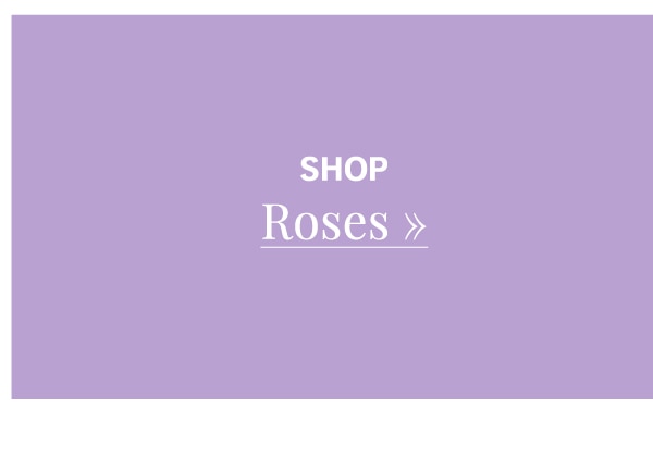 Shop Roses »