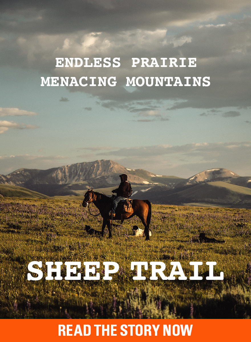 Sheep Trail