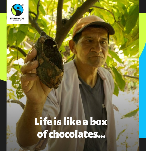 Angel Salinas holds up a cocoa pod that has a big hole bitten into it. He stands under foliage and has a facial expression of dismay.