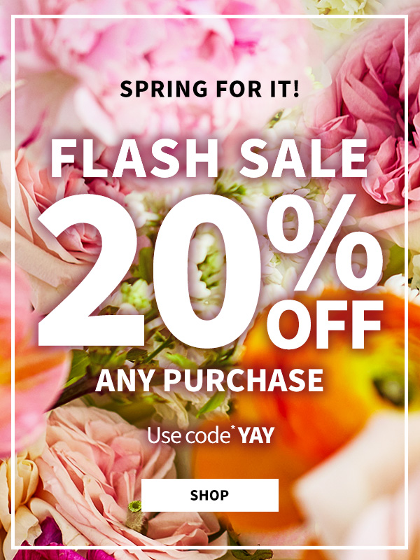 Spring for it! Flash Sale. Click to reveal