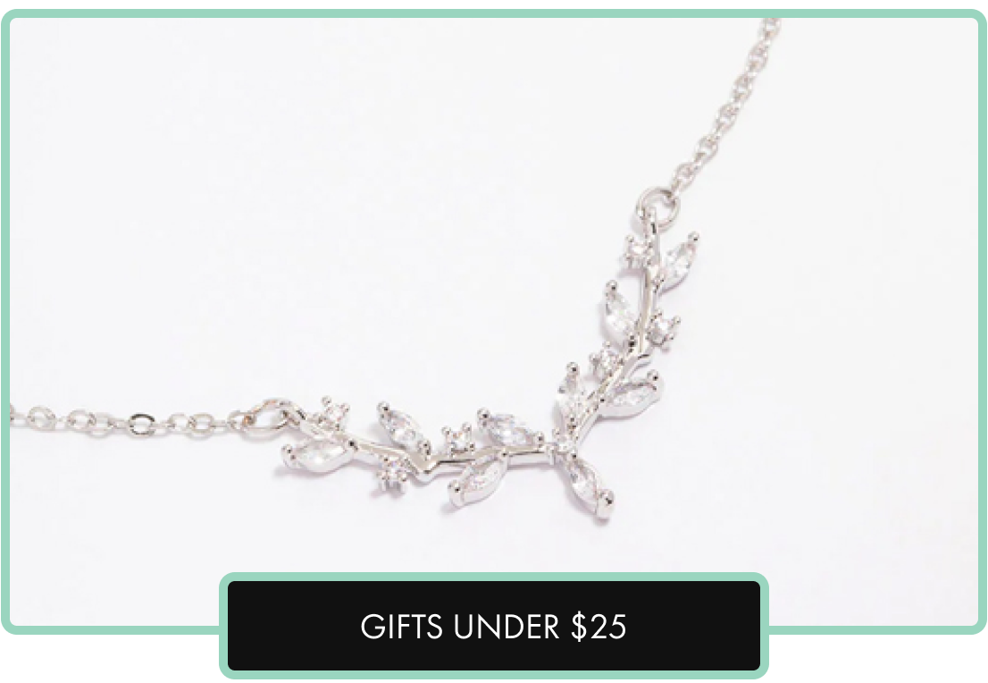 GIFTS UNDER $25