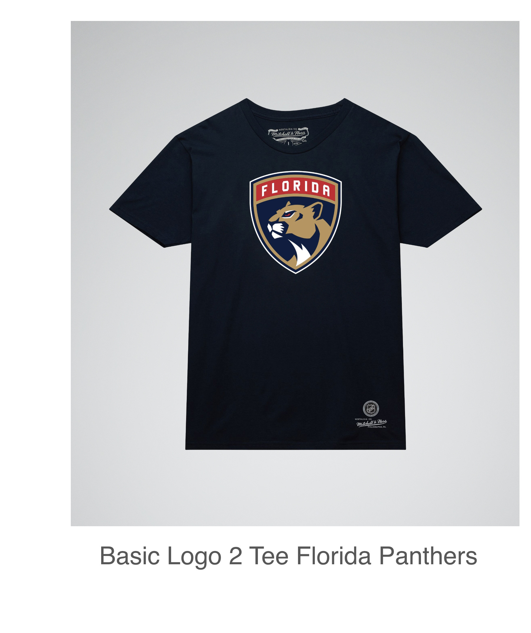 Basic Logo 2 Tee Florida Panthers