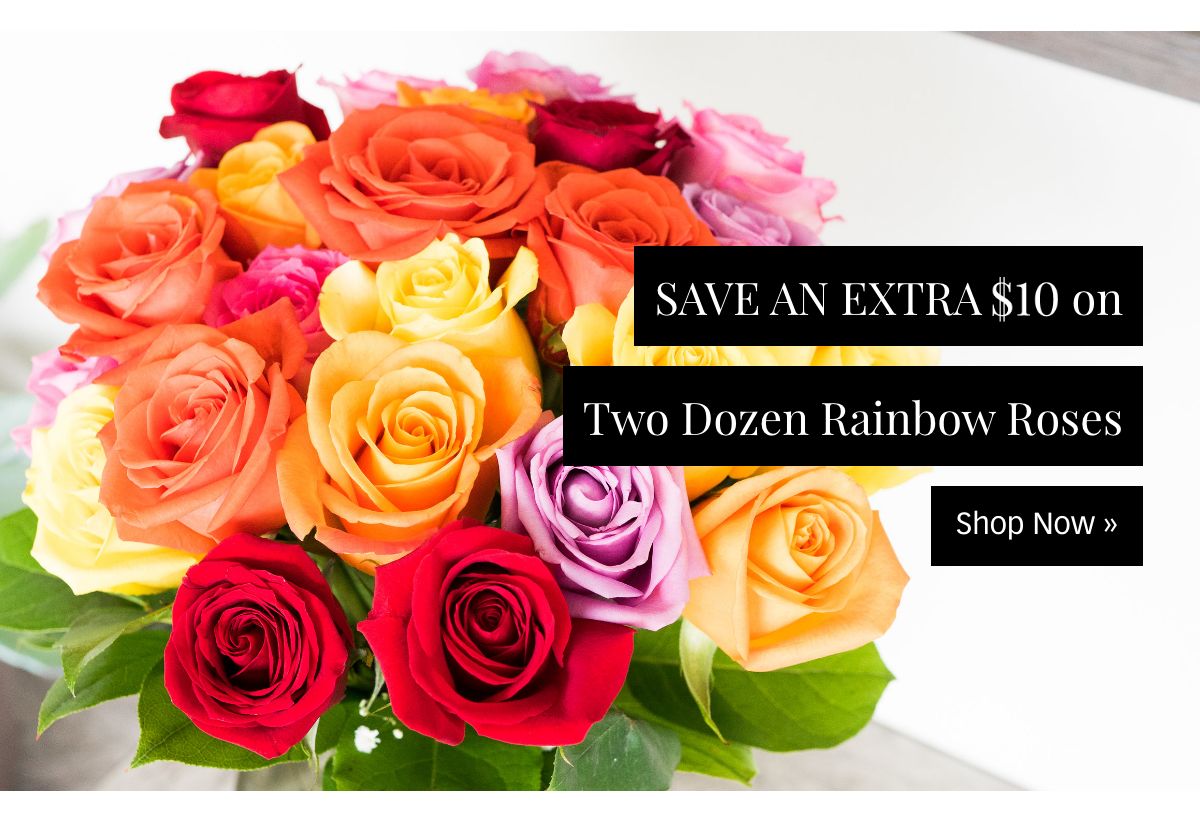 Save an Extra $10 on Two Dozen Rainbow Roses »