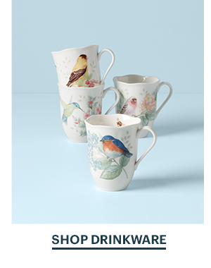 SHOP DRINKWARE