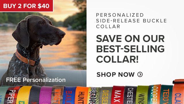 Personalized Side-Release Buckle Collar Save on Our Best-Selling Collar! callout: Buy 2 for $40 callout: Free Personalization