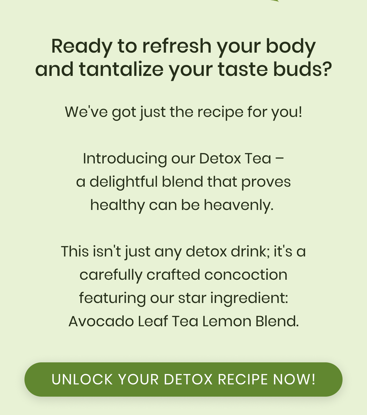 Ready to refresh your body and tantalize your taste buds? We've got just the recipe for you!  Introducing our Detox Tea – a delightful blend that proves healthy can be heavenly.   This isn't just any detox drink; it's a carefully crafted concoction featuring our star ingredient: Avocado Leaf Tea Lemon Blend.