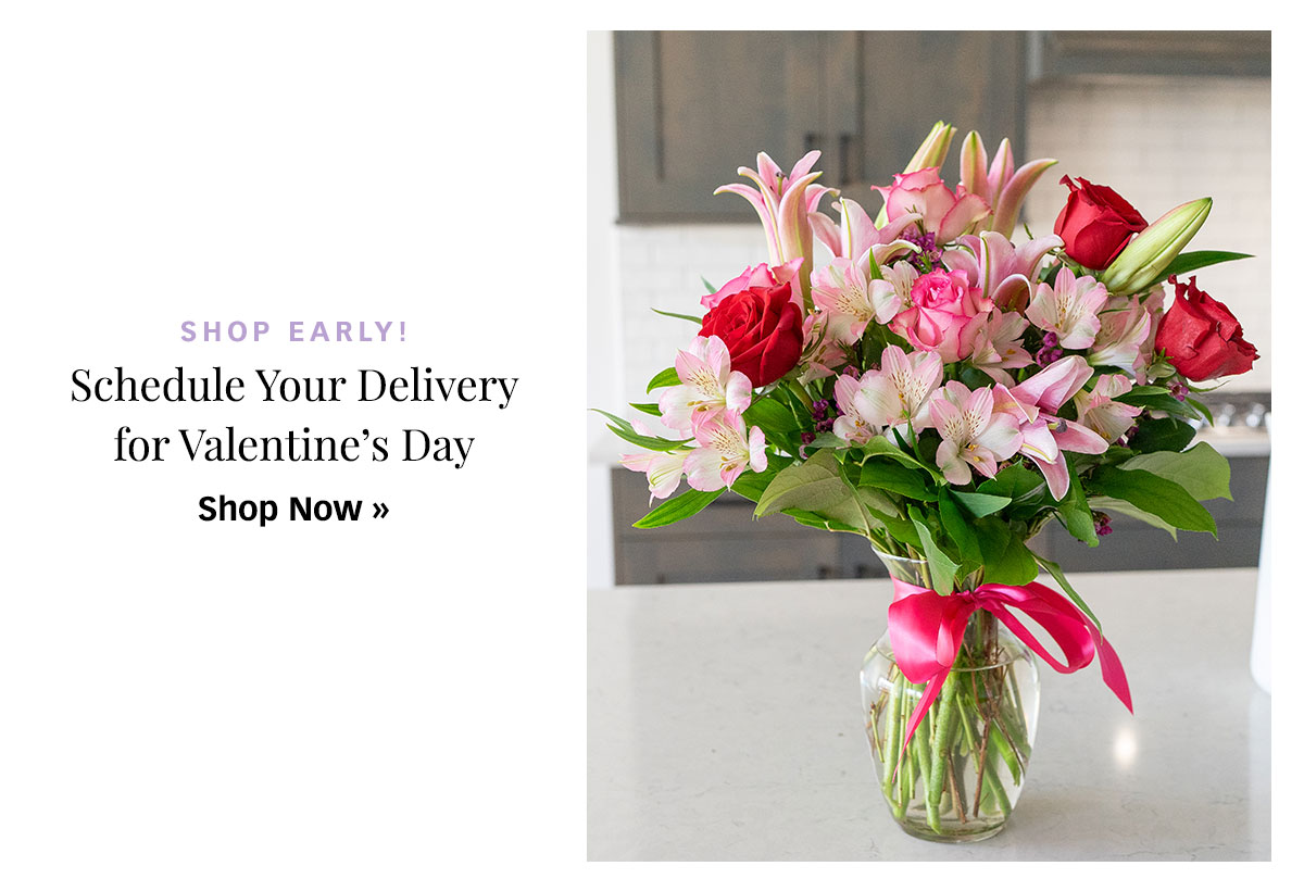 Shop Valentine's Day »