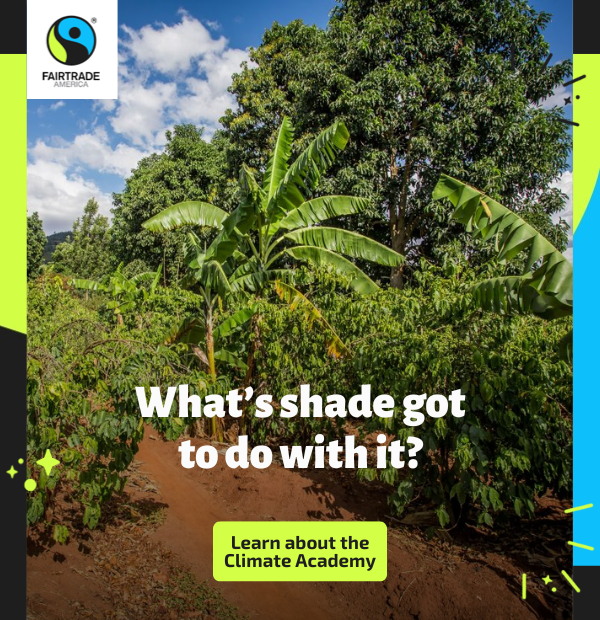 Tall banana trees provide shade to shorter coffee bushes. Overlaid text reads: “What’s shade got to do with it?” Button reads: “Learn about the Climate Academy.” In top, right corner is the Fairtrade America logo.