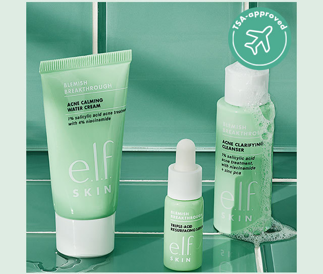 Blemish Breakthrough Blemish Control Basics Kit