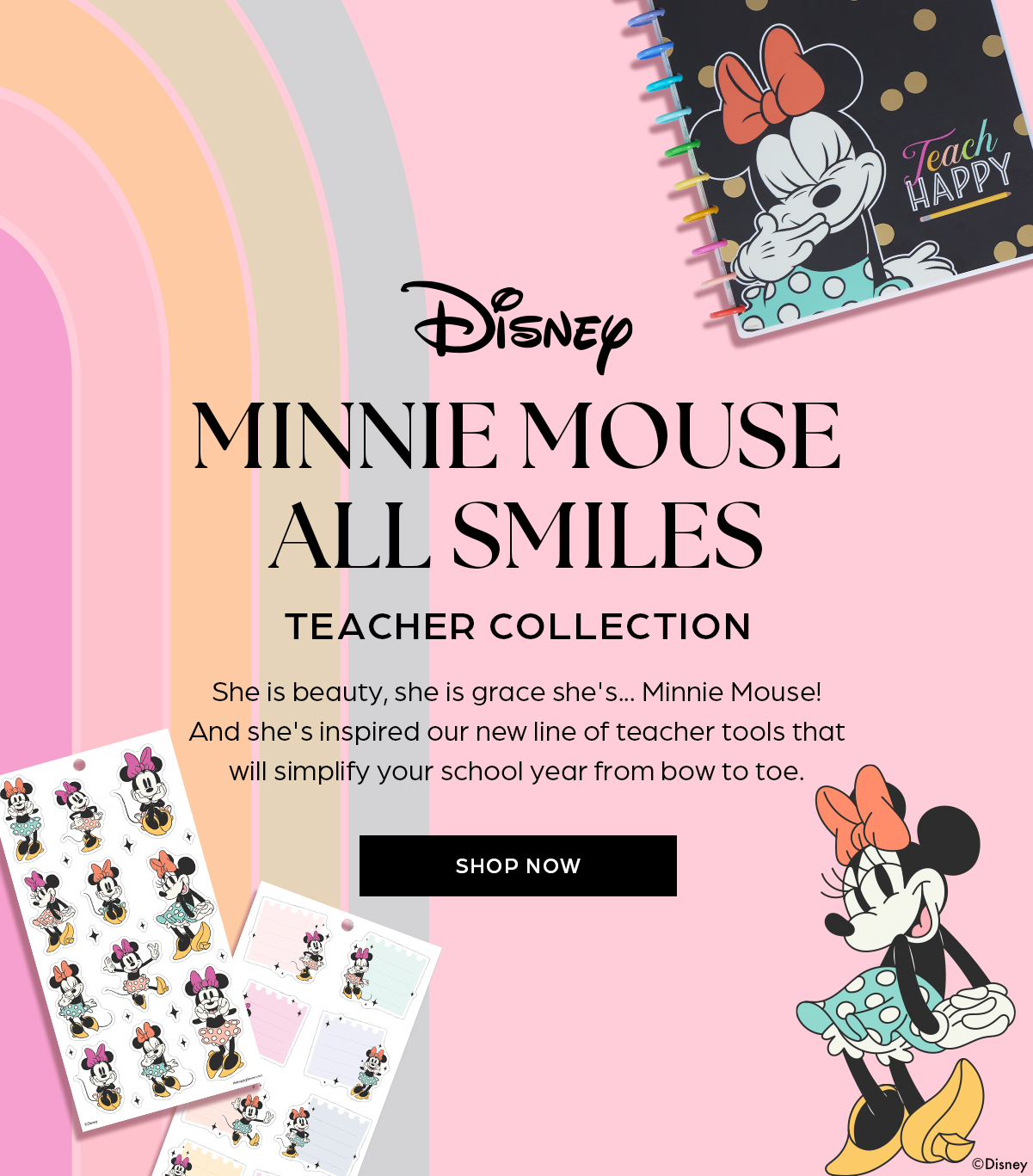 Disney Minnie Mouse All Smiles Teacher Collection