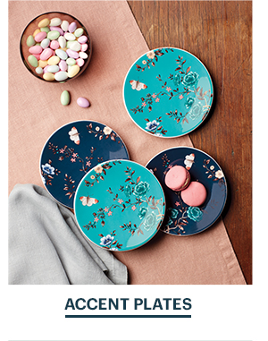 ACCENT PLATES