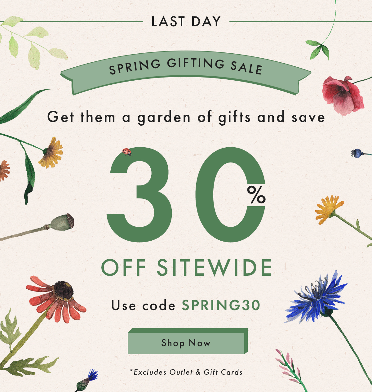 Spring Gifting Sale | Shop Now