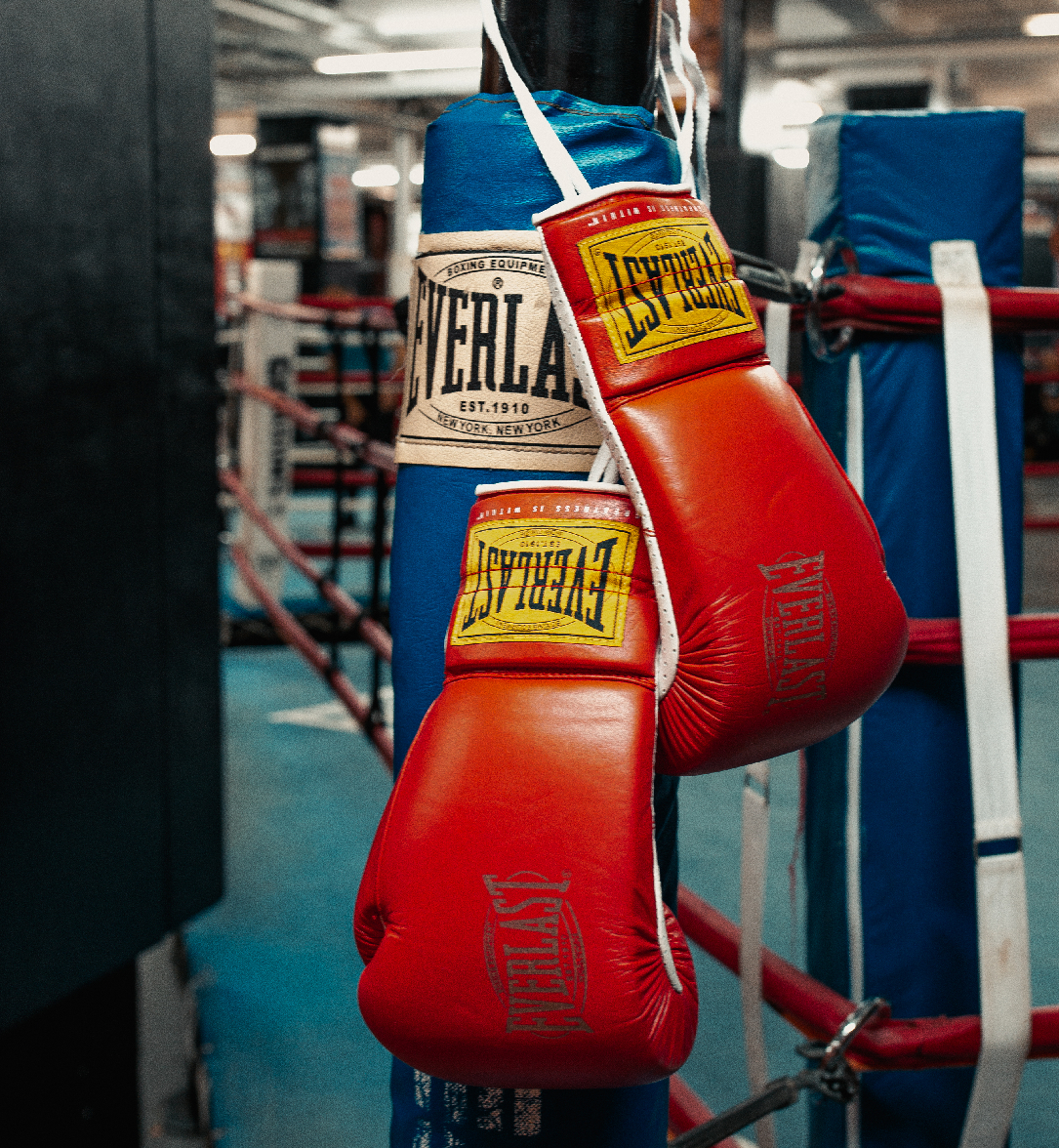 Everlast Sparring Gloves