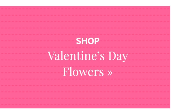 Shop Flowers »