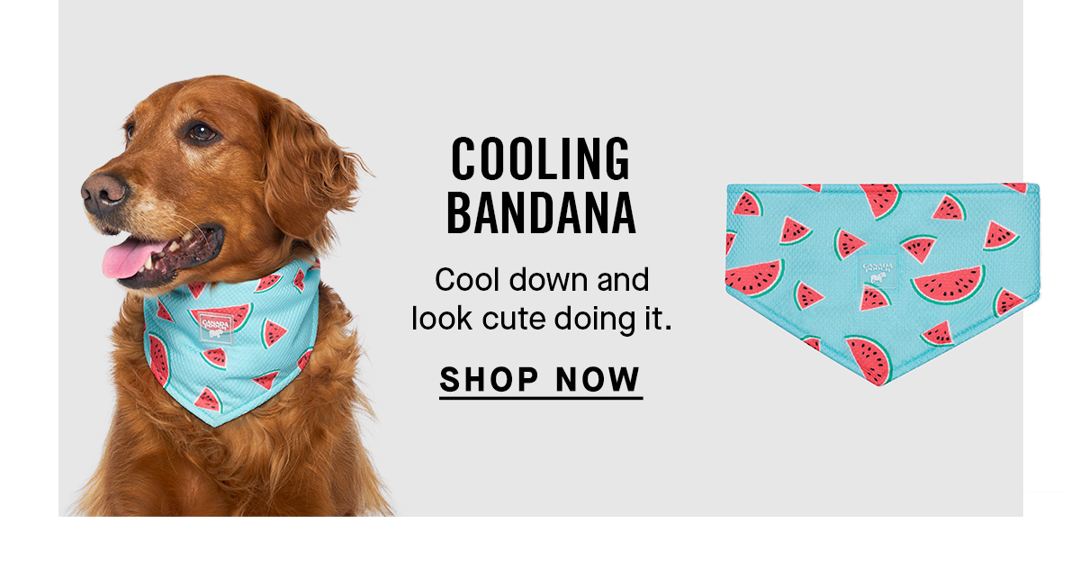 Cooling Bandana