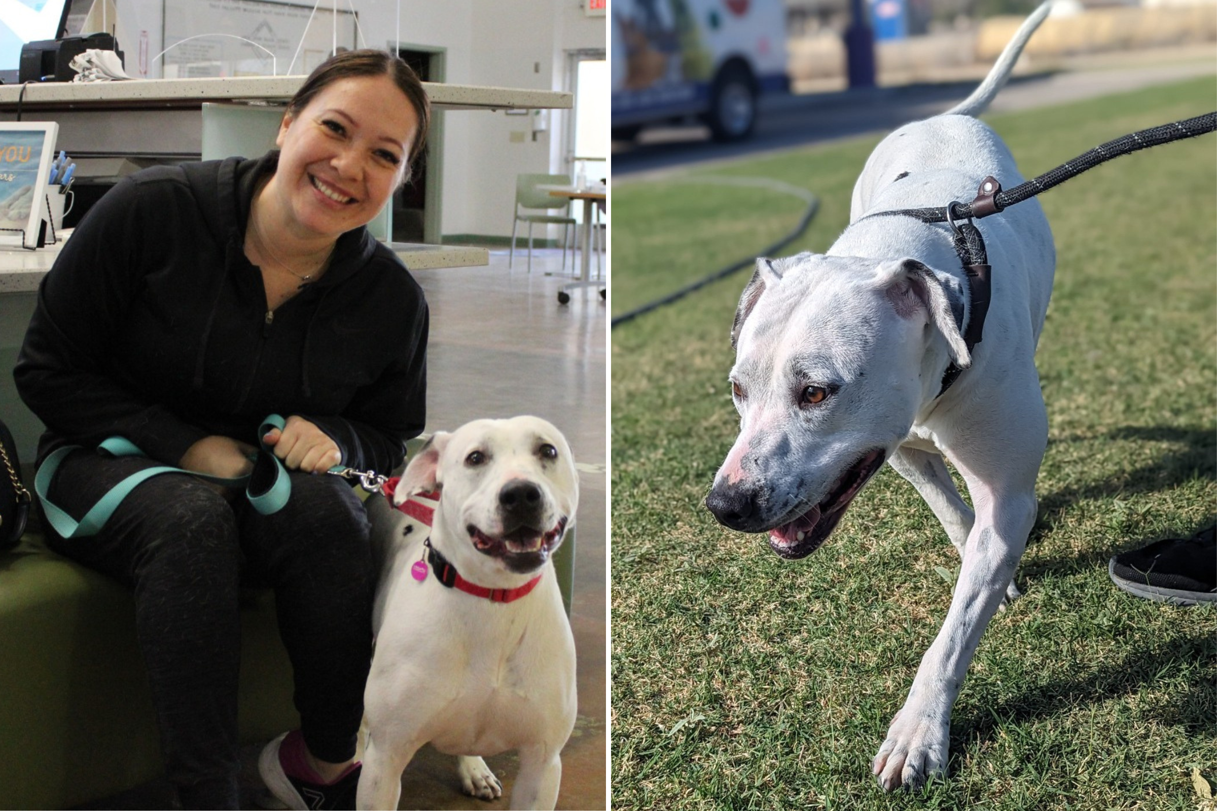 Photo: Deaf Dog Who Was Shelter's Longest Resident Finally Adopted After 753 Days