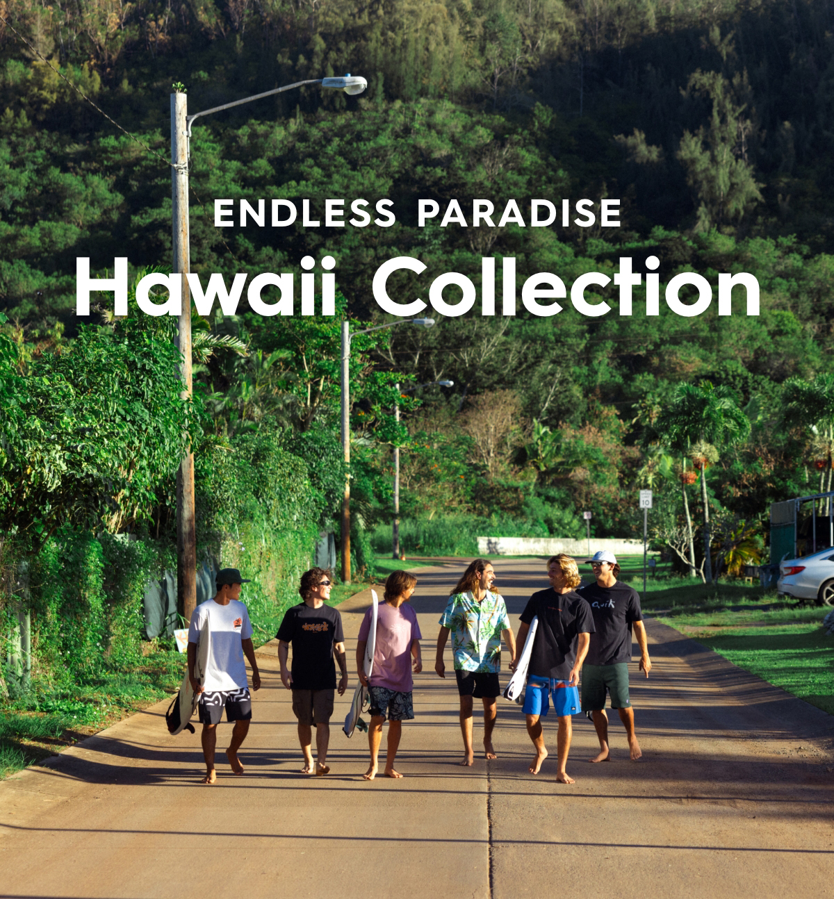 Hawaii Collection