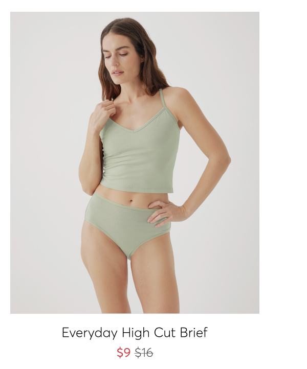 Everyday High Cut Brief - $9