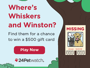 Where's Whiskers and Winston?