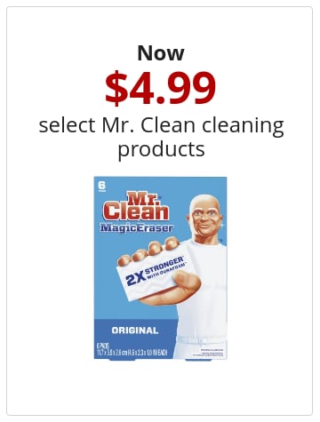 Now $4.99 select Mr. Clean cleaning products