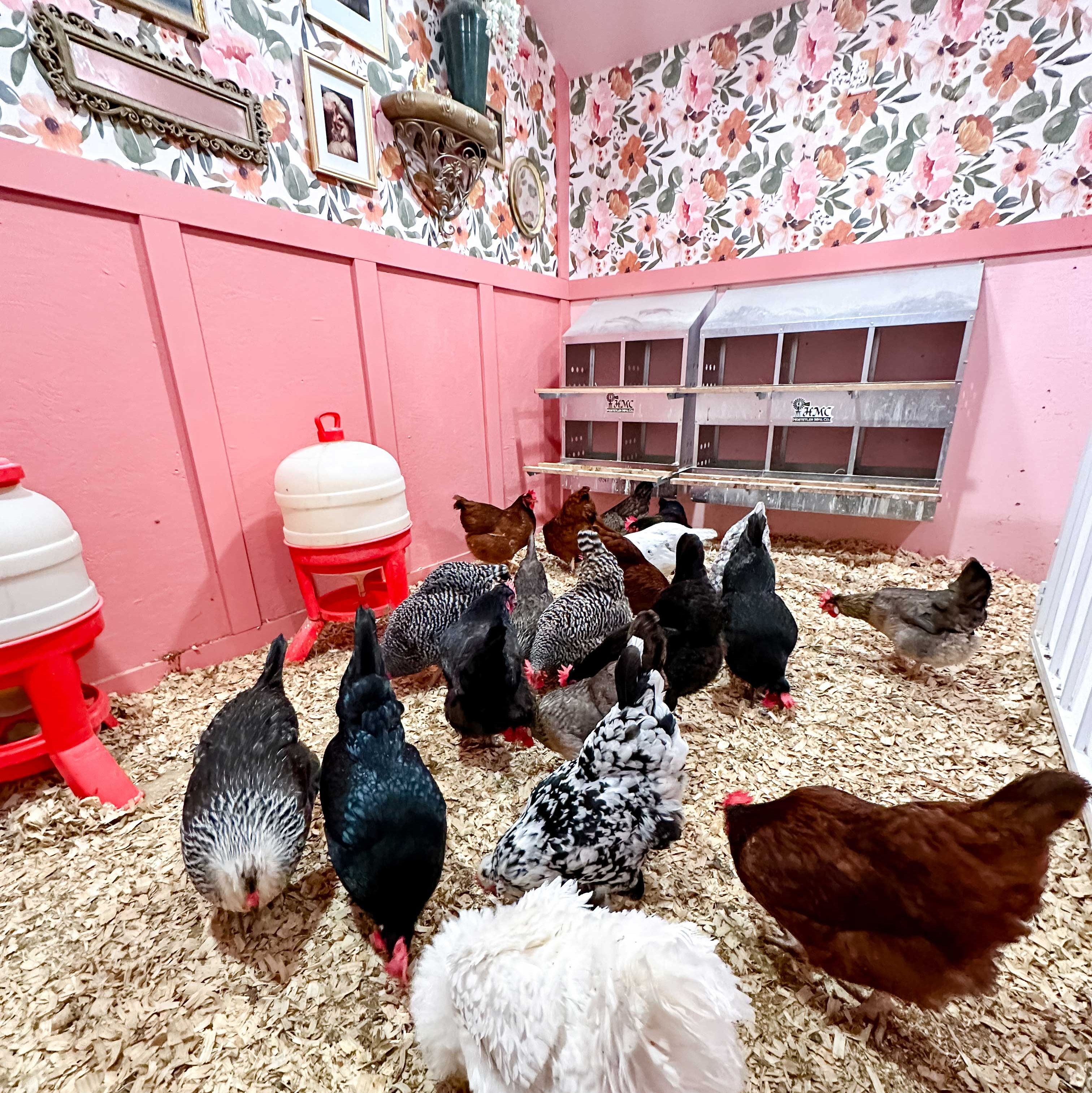 You Will Not Believe This Over-the-Top Texas Chicken Coop