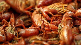 Boiled crawfish on display at Kjean's Safood in New Orleans, Jan. 25, 2013.