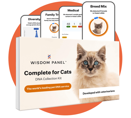 Wisdom Panel Complete Cat DNA Test