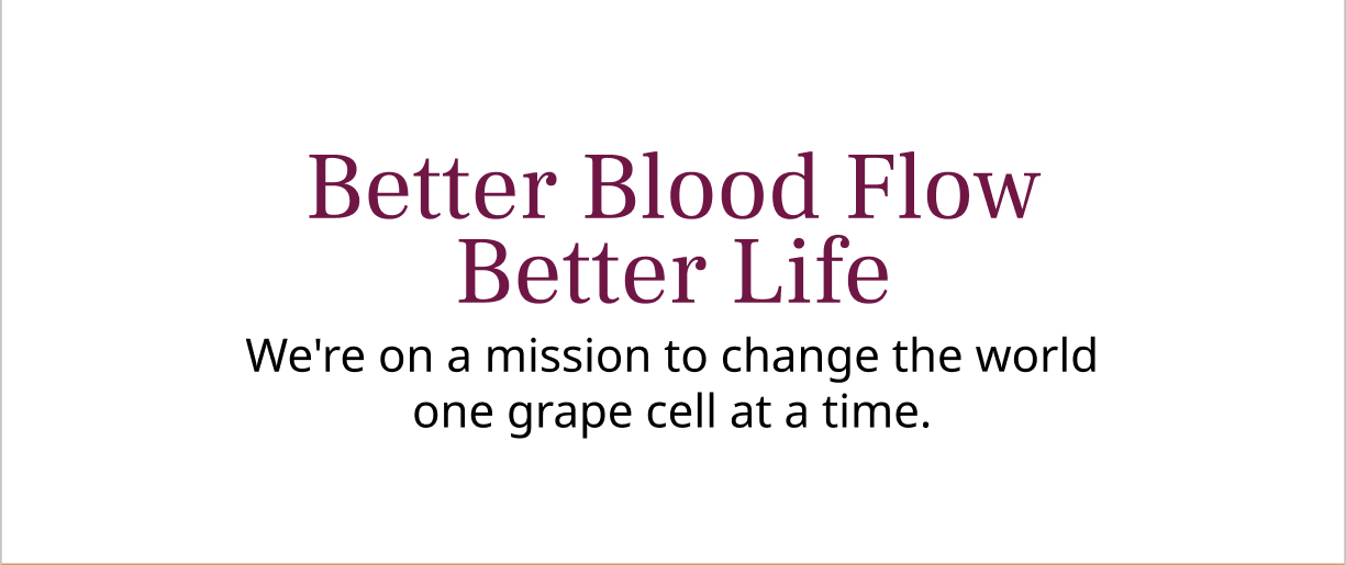 Better Blood Flow Better Life