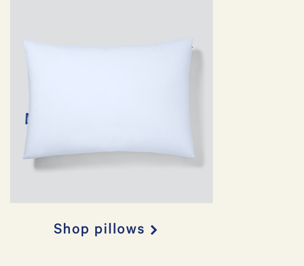 Shop Pillows