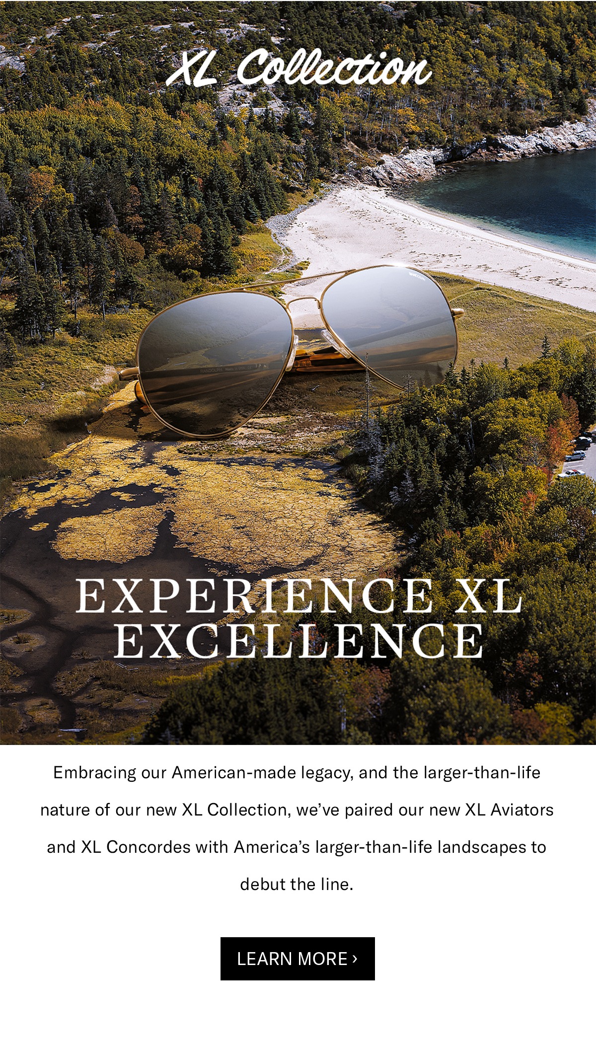 XL Collection: EXPERIENCE XL EXCELLENCE