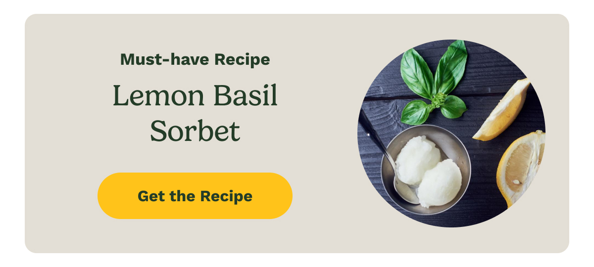 Lemon Basil Sorbet