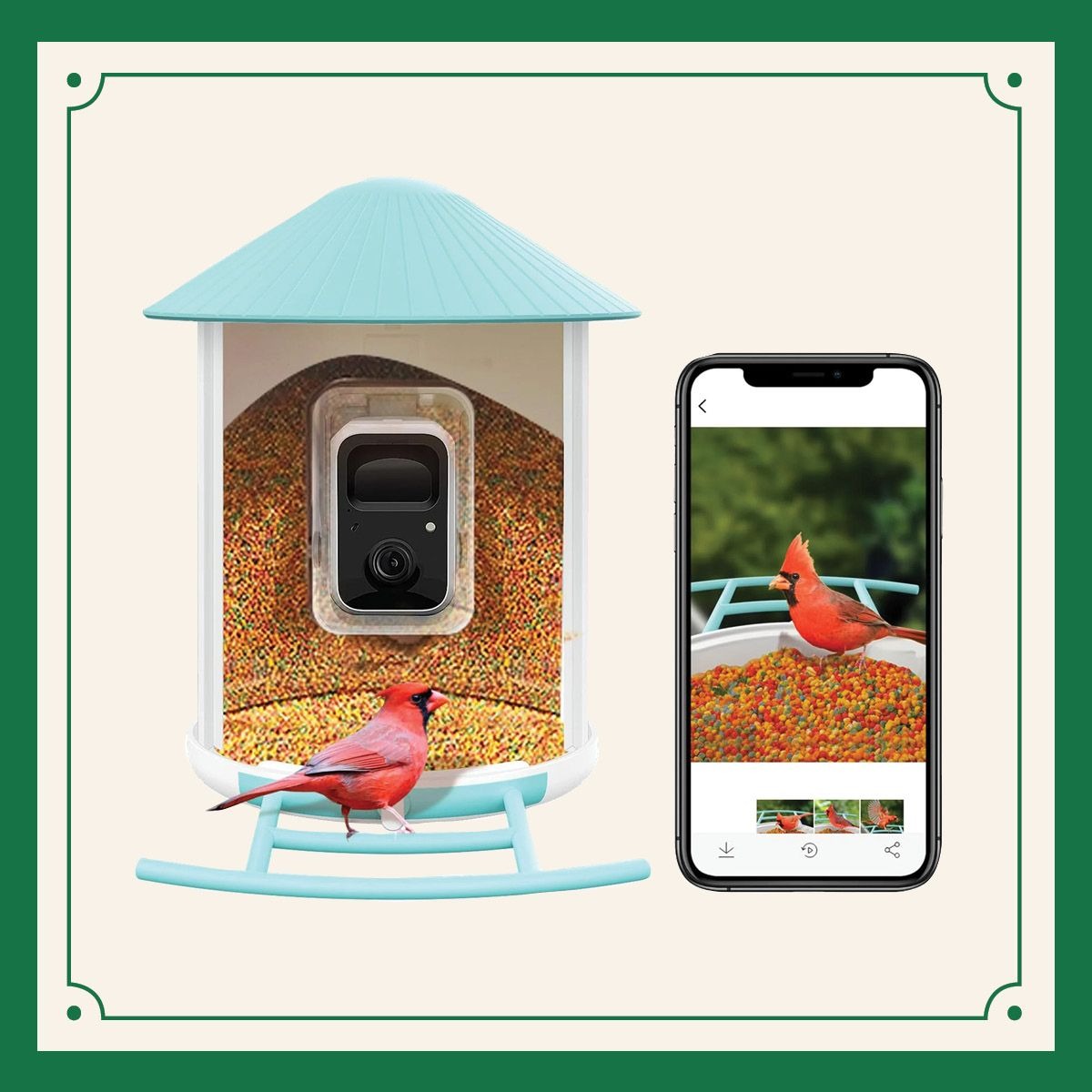 Get Cute Bird Pix Delivered Straight from Your Feeder to Your Phone