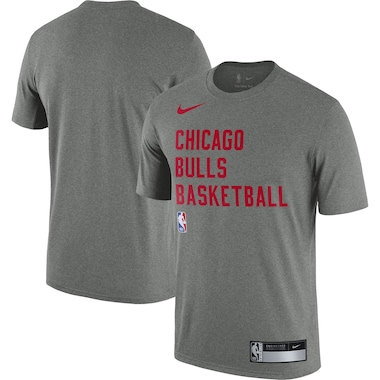  Nike Heather Gray  2023/24 Sideline Legend Performance Practice T-Shirt