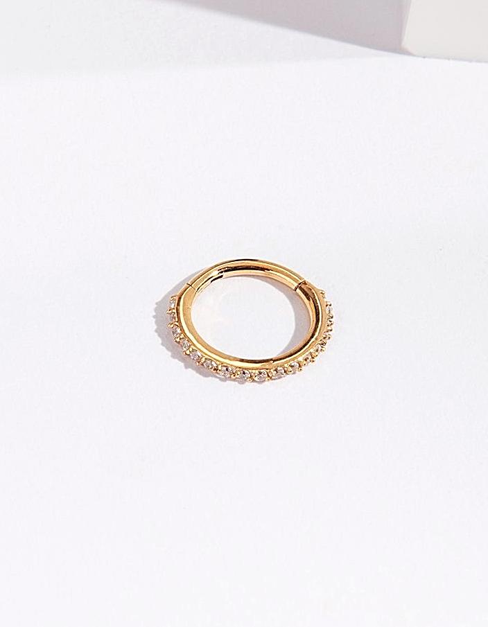 Image of Gold Surgical Steel Hinged Ring Body Jewellery