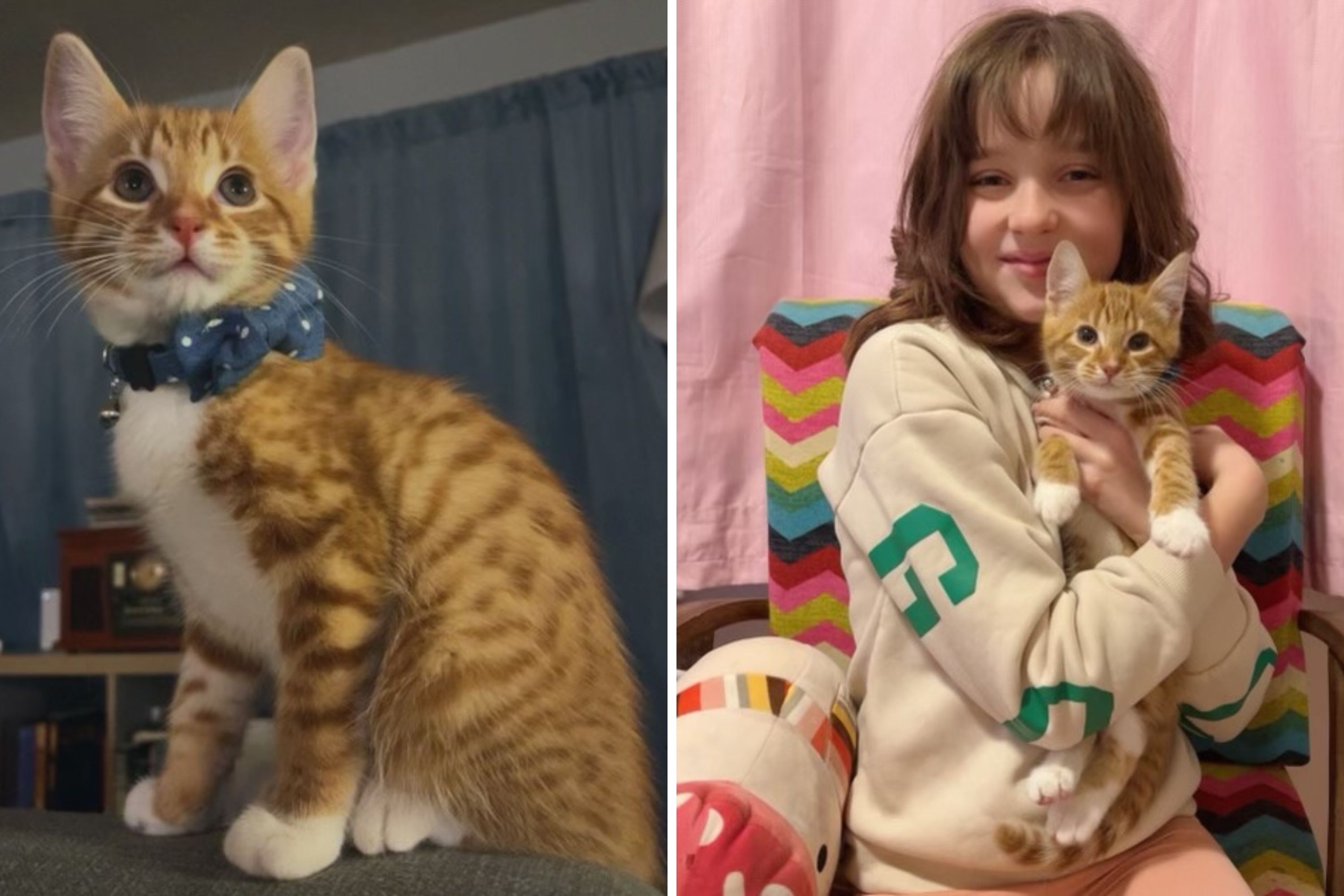 Photo: Girl Goes to 10th Birthday Party, Comes Home With 9-Week-Old Kitten