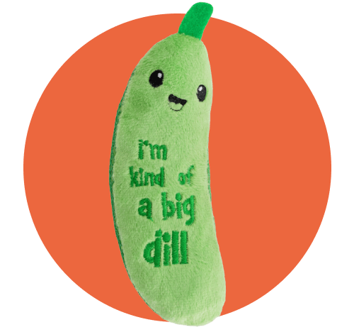 Pickle Toy