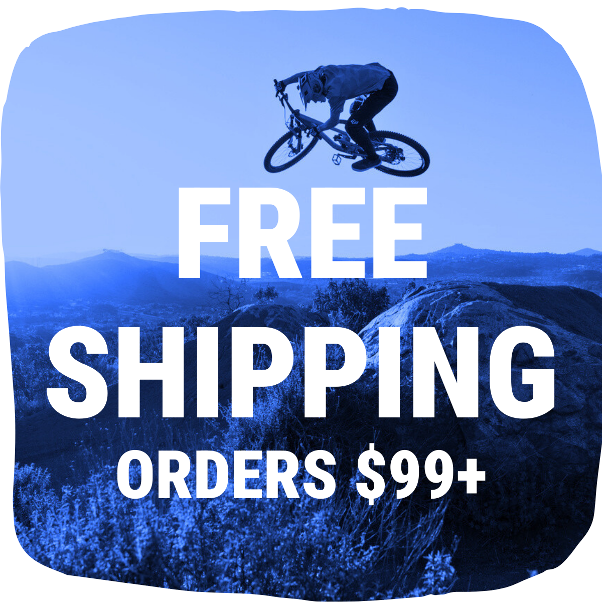 Free Shipping