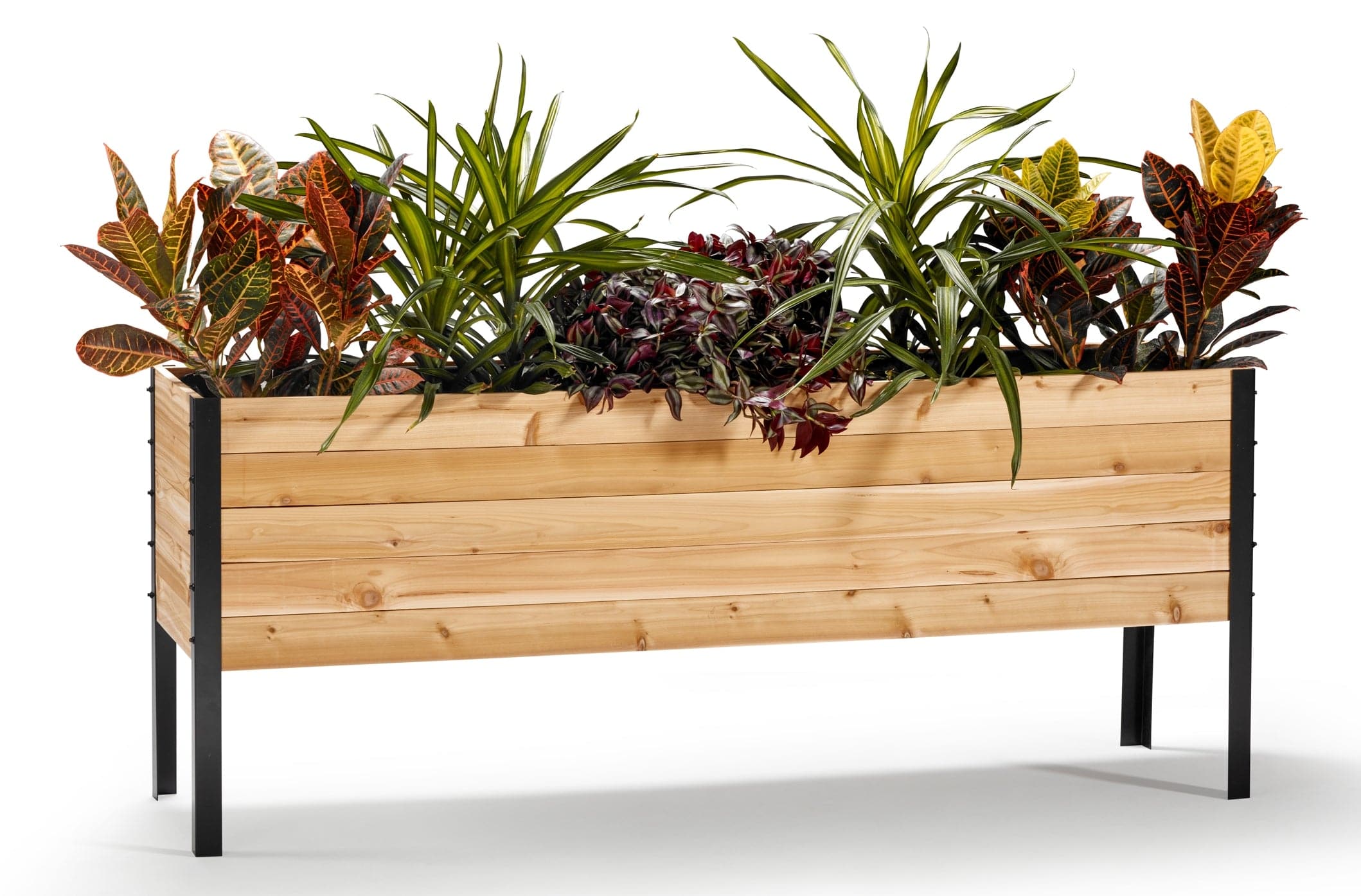 Image of 18" x 72" Raised Garden Bed