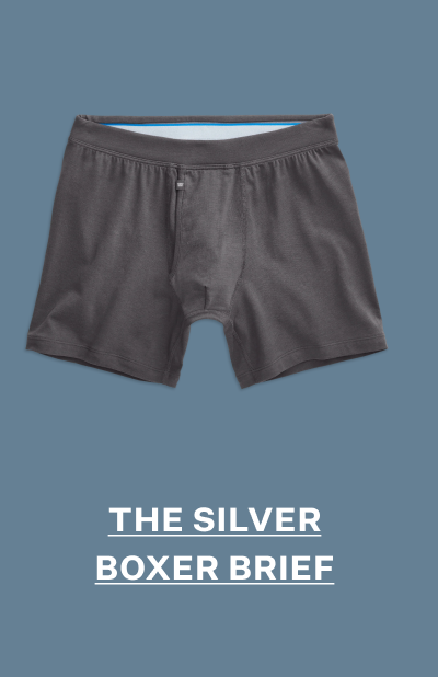 SILVER Boxer Brief