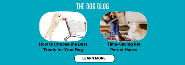 read blog posts from Waggin' Train