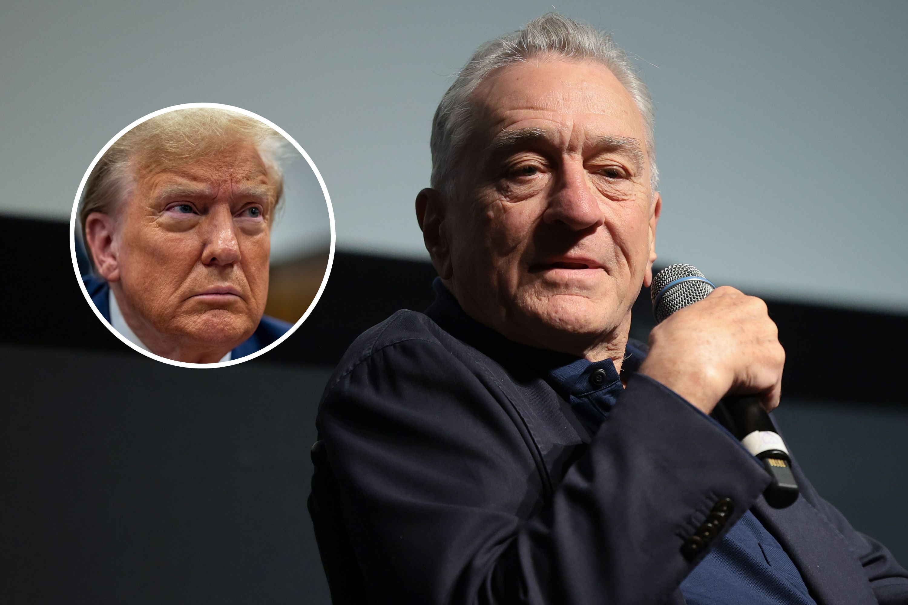 Photo: Robert De Niro Hurls Expletives at Trump on 'The View'