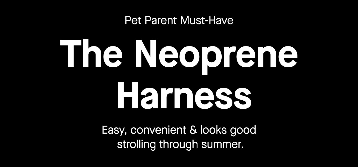 The Neoprene Harness