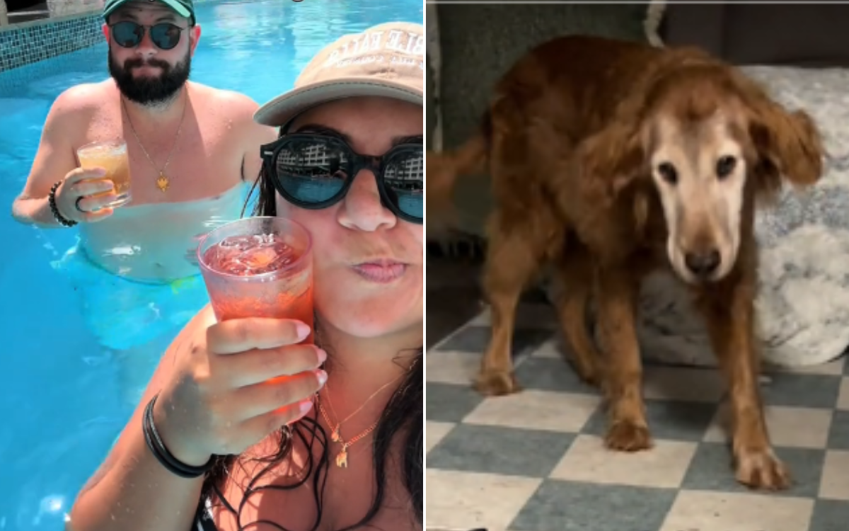 Photo: Dog Owner On Vacation Receives Wildest Video From Pet Sitter—'Don't Be Mad'