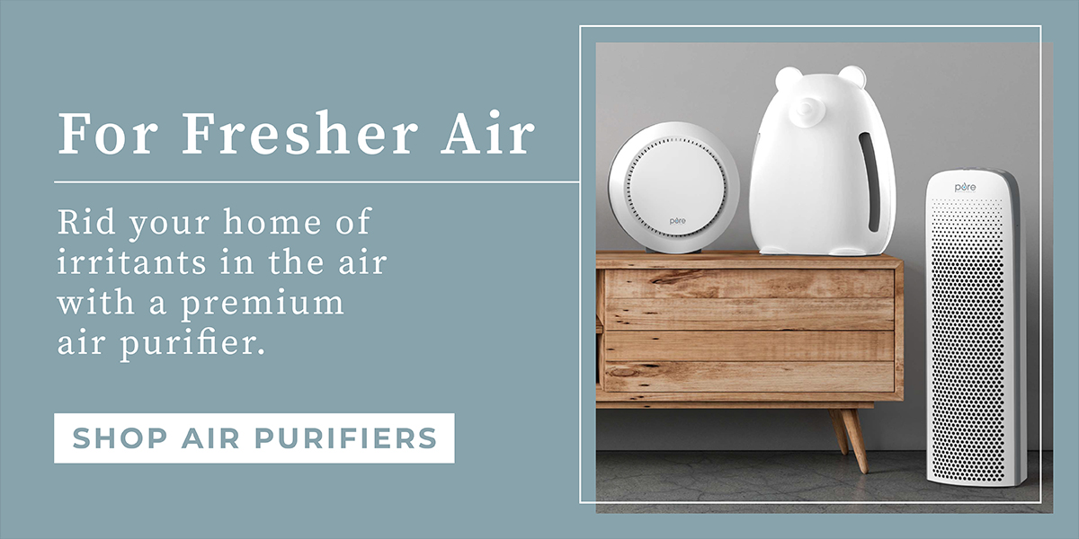 For Fresher Air Shop Air Purifiers