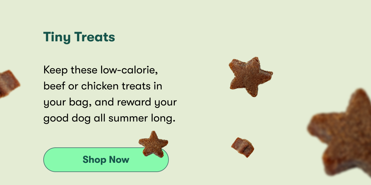 Tiny Treats  Keep these low-calorie, beef or chicken treats in your bag, and reward your good dog all summer long.