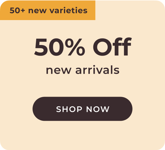 50% off New Arrivals