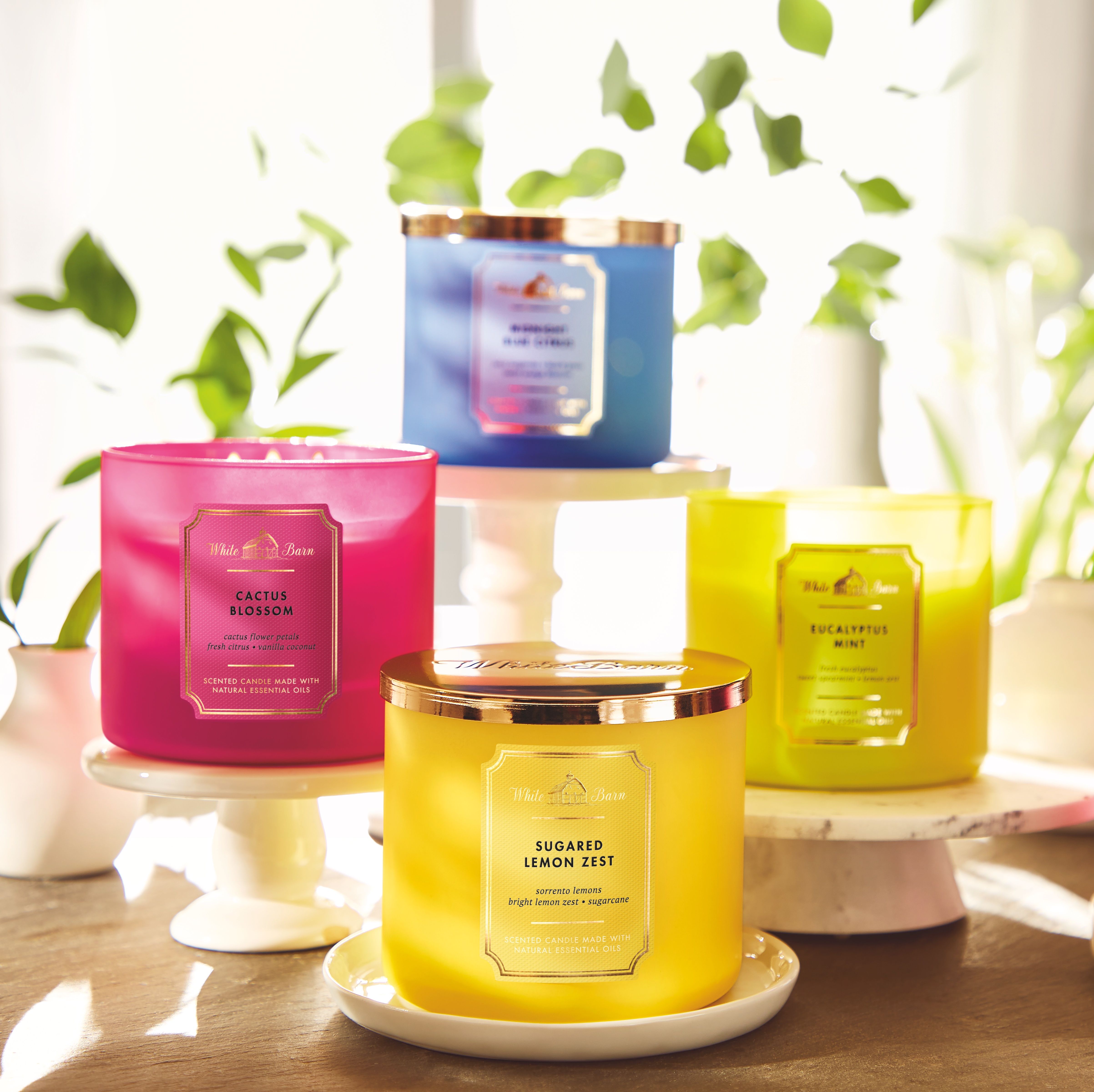 Bath & Body Works’ Semi-Annual Sale Is Here!