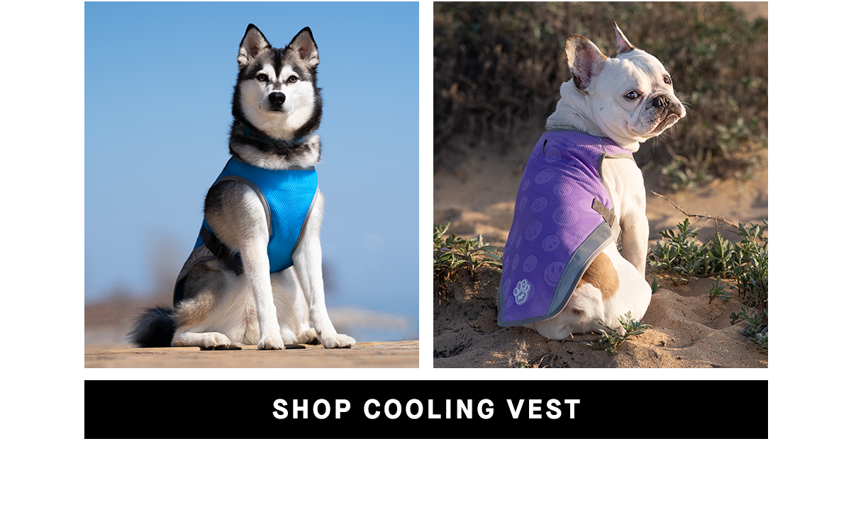 Cooling Vest