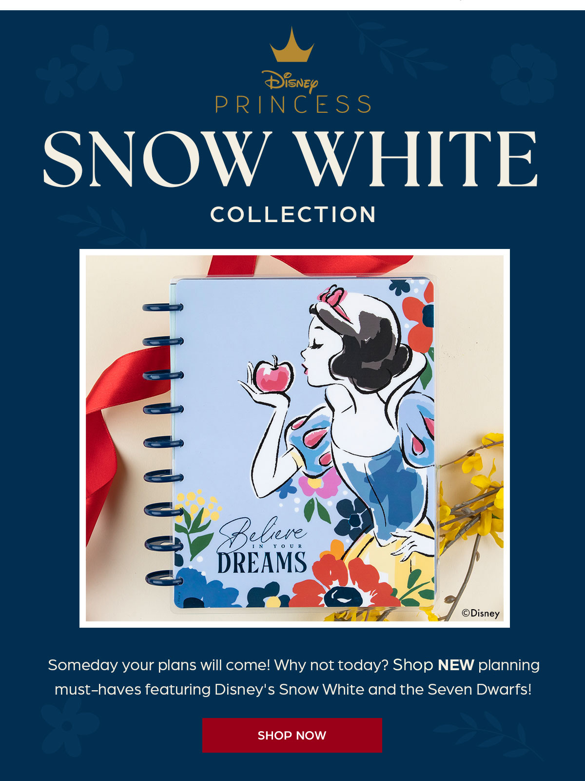 Disney Snow White Collection