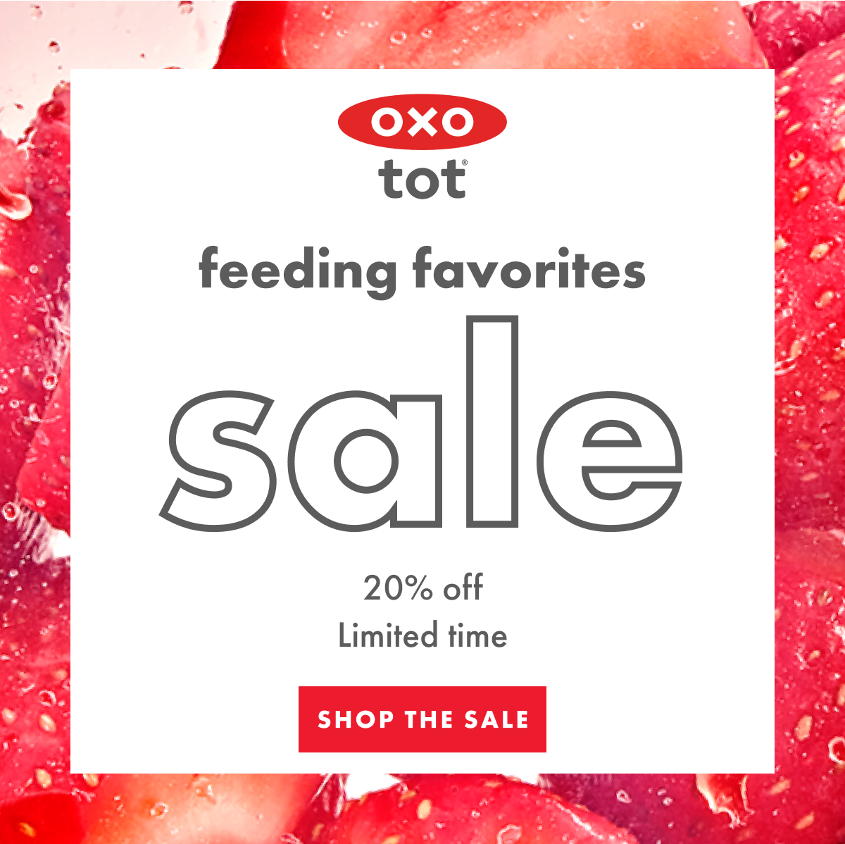 tot feeding favorites sale